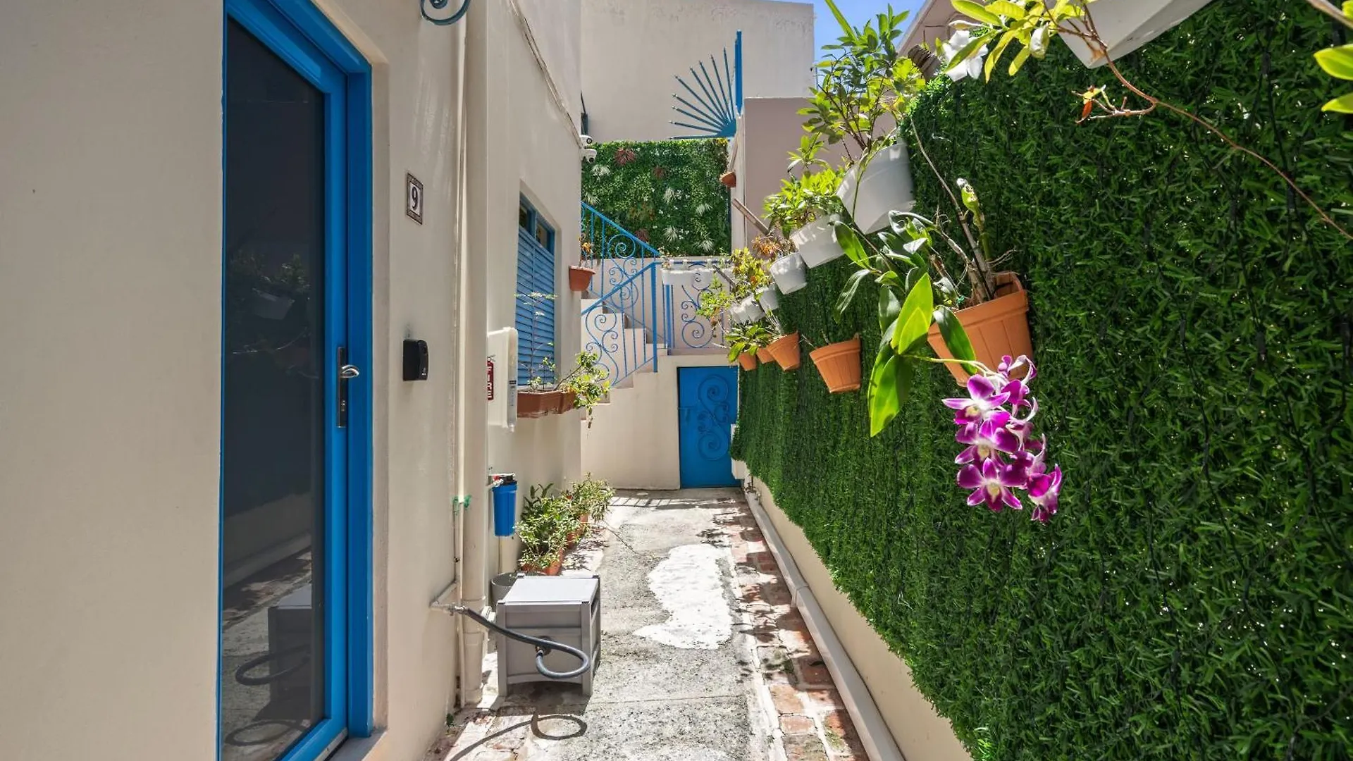 Artistic & Cozy Garden Studio In Santurce Mm10 San Juan Apartment
